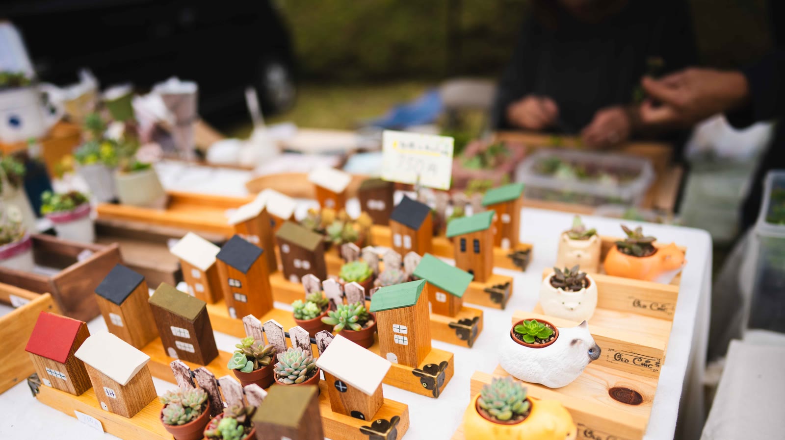 出店にならぶ木の小物と多肉植物(2025年のようす)